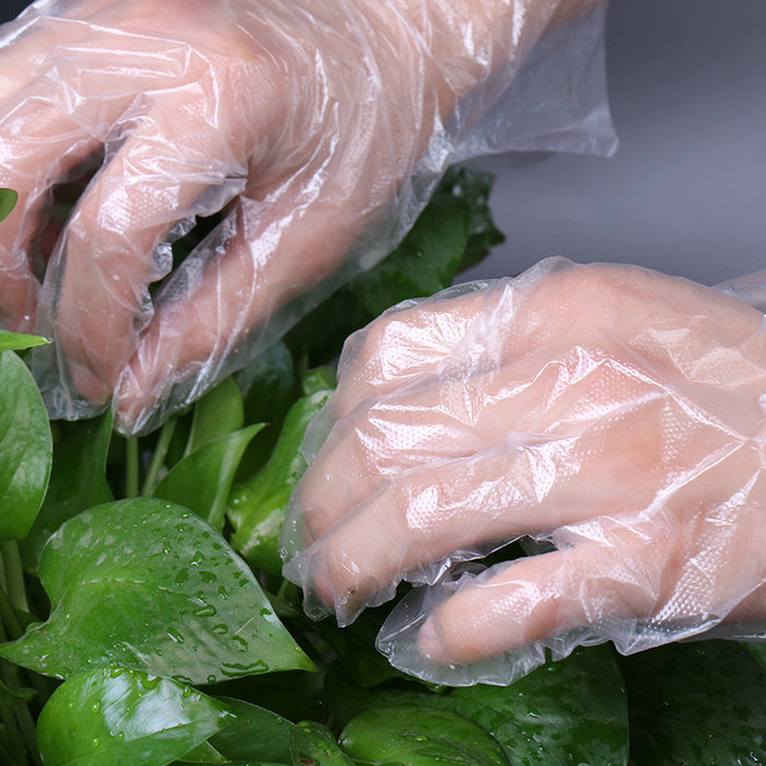 PE Plastica Uso quotidiano per uso alimentare per uso alimentare Uso alimentare a prova di olio Guanti monouso in plastica PE HDPE trasparente monouso a mano